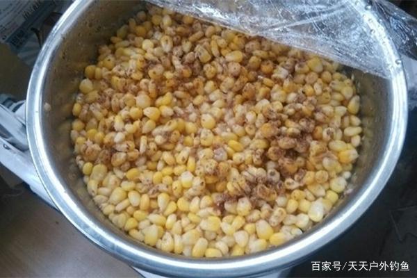 草鱼的三种远投钓法，简单有效，助你连竿大草鱼！