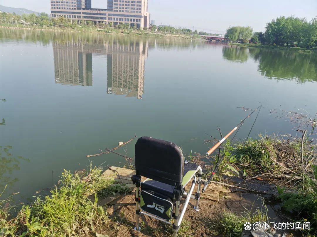 春季钓鲤鱼怎么总空军？恐怕是选错了水深，才错过了鱼！