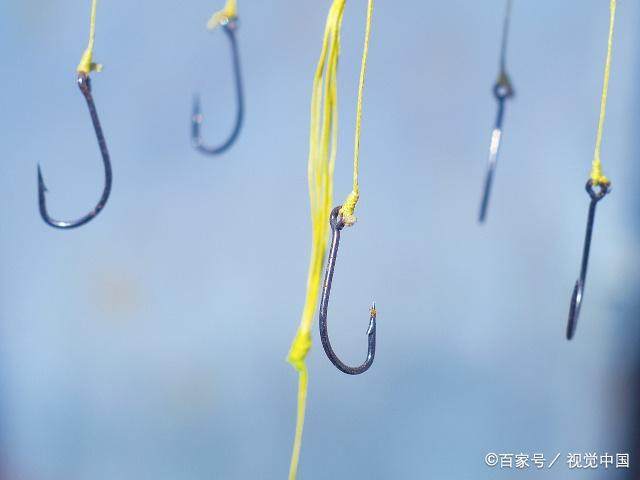 你想在夜晚时钓获黑鱼吗？那么有关黑鱼的这些知识，你一定要知道