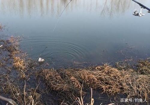 30年野钓高手分享自己野钓鲫鱼的绝招，全部做到真的一点不难！