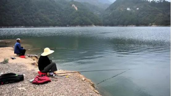 还不知道怎么钓鲤鱼？记住这4个“绝密”位置，找准爆护很轻松