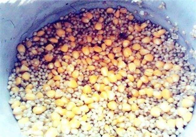 夏季水库钓青鱼，把握好这3个关键点，助你轻松钓获大青鱼