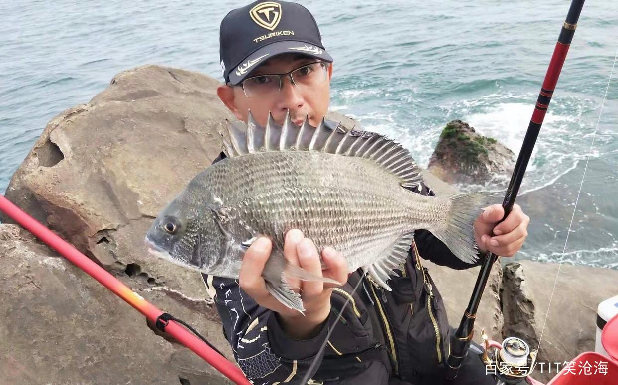 矶钓涨潮好钓还是退潮好钓