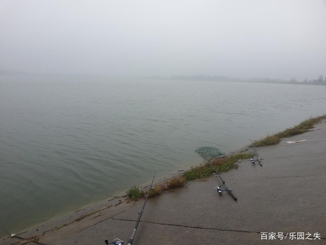 海竿、矶竿、岸筏、路亚竿的用途和区别是什么？一文秒懂