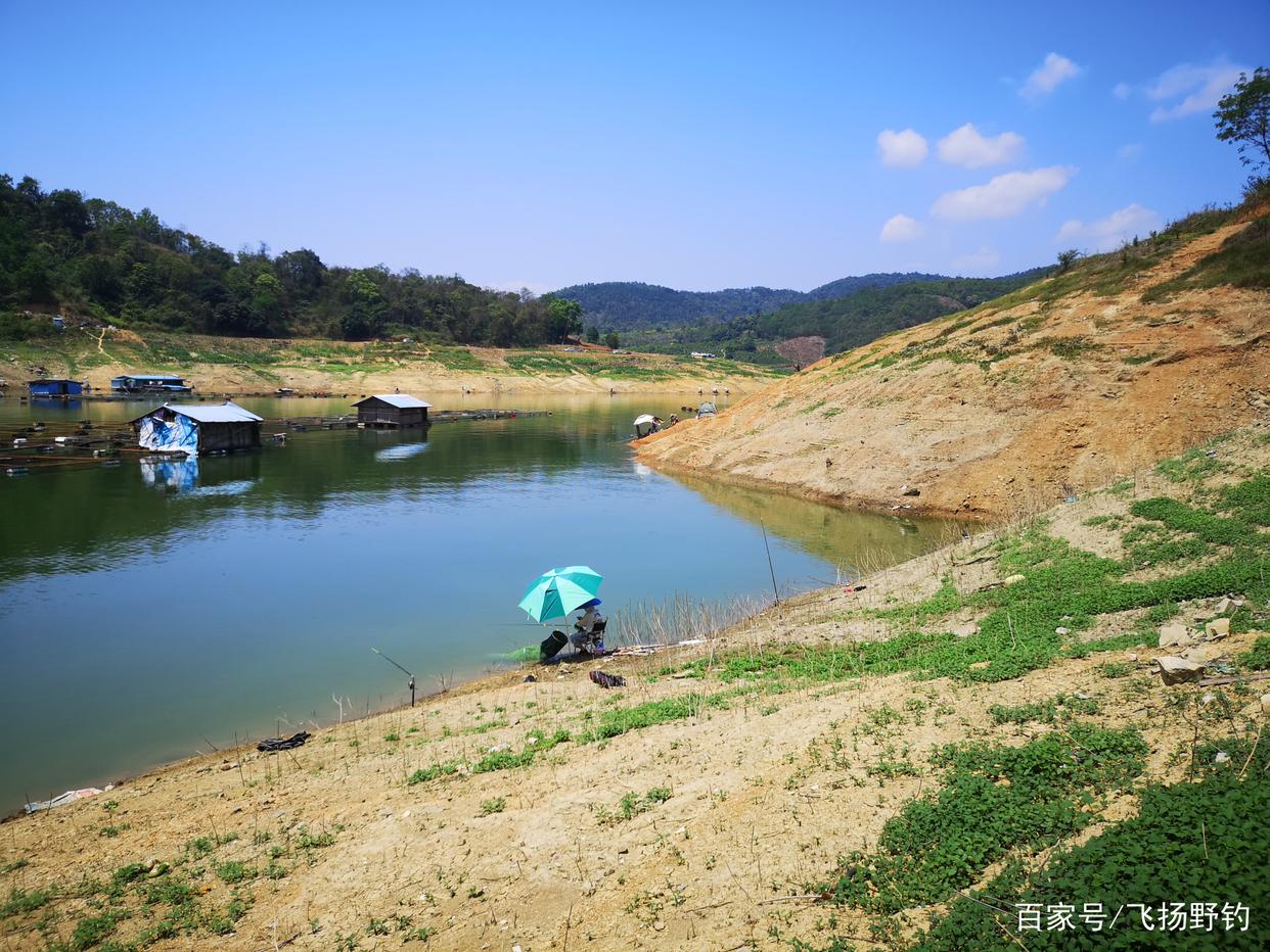 野钓：水库钓大罗非都有哪些方法？分享一下吧