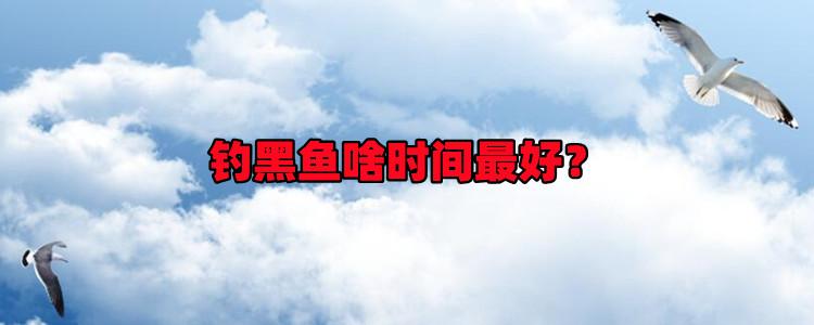 黑鱼习性，钓黑鱼啥时间最好？