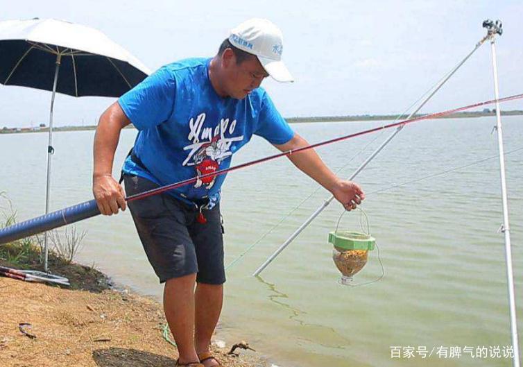 秋天钓青鱼时，看老钓友的垂钓经验和技巧，进来学习一下吧！