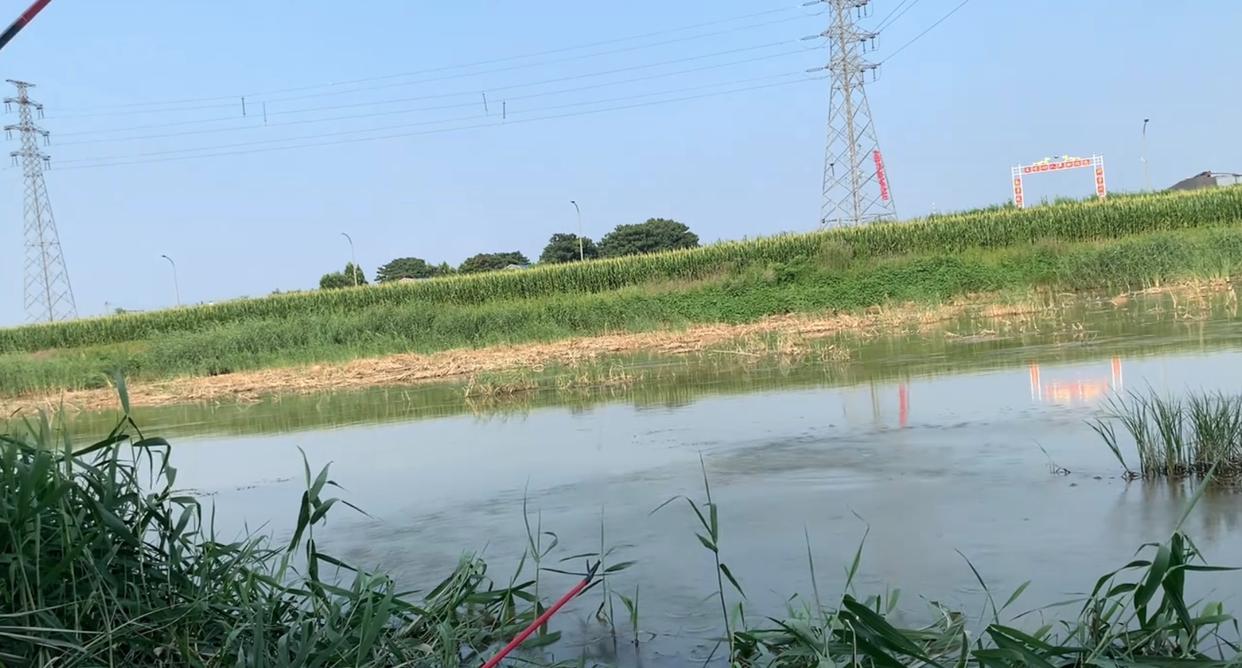 春季钓鲤鱼的钓点选择，垂钓方法以及需要注意的一些问题