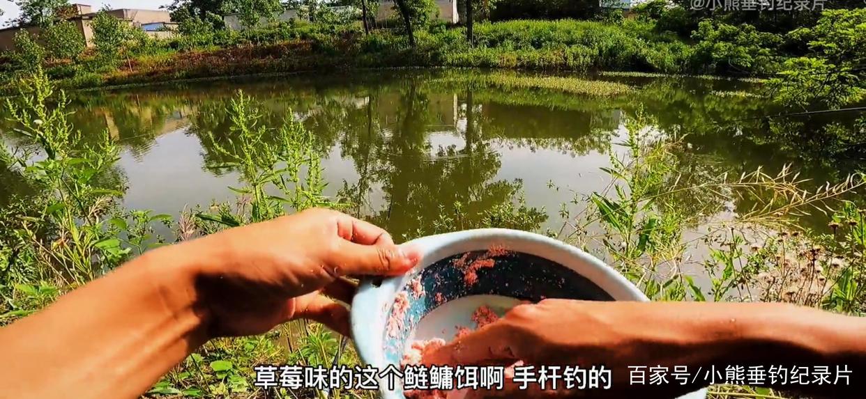 钓后感！鲢鳙应该怎么钓？仅仅野钓4次鲢鳙的快乐体验与困惑