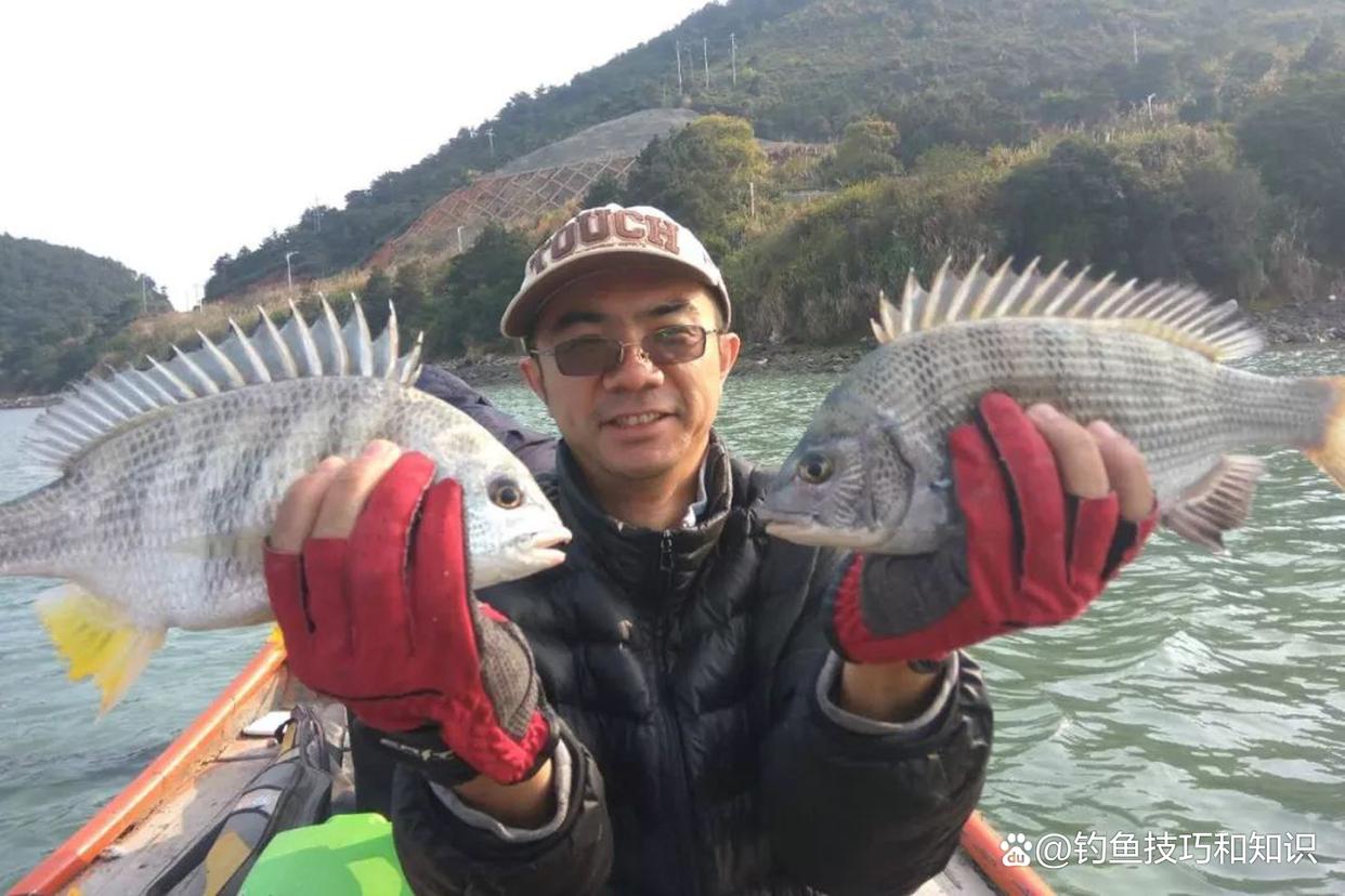 夏季怎样钓黑鲷？钓位、线组、鱼饵和钓法，夏季钓黑鲷的有效技巧