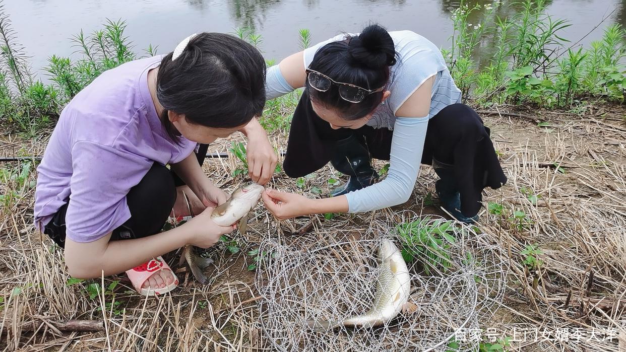 夏季是垂钓草鱼的黄金季节，那么我们该如何去钓呢？