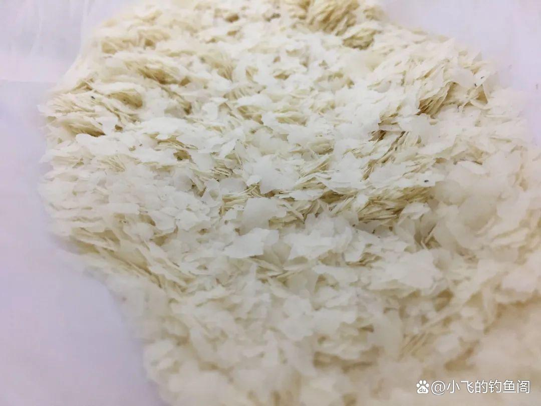 钓鲢鳙忘记带饵料怎么办？别急，教你巧用2种状态饵自制鲢鳙饵