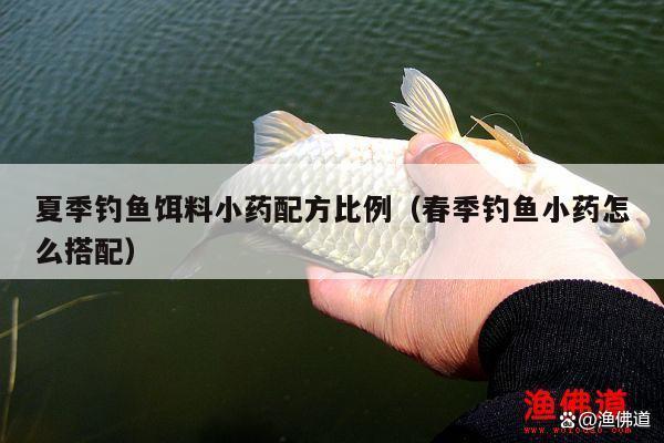夏季钓鱼饵料小药配方比例（春季钓鱼小药怎么搭配）