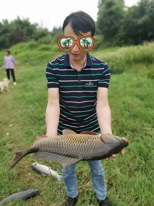 昆明周边杨官庄水库，60一天能钓鲤草大青鱼，休闲垂钓露营也可以