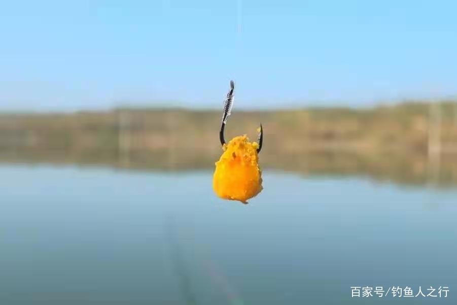 春天手竿钓鲤鱼的攻略与窍门，低密度也可以，只要水里有