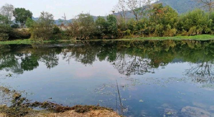 春季钓鱼必钓浅？钓位就该这样选，让你狂拉不停到手软