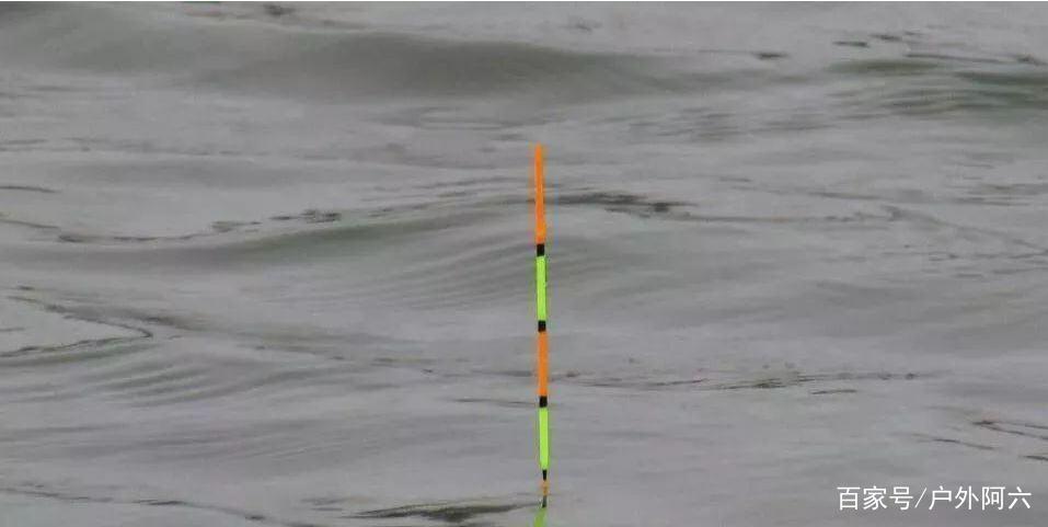 谈谈手竿浮钓鲢鳙时浮漂的选择，水库钓鱼户外野钓大头鱼选浮漂