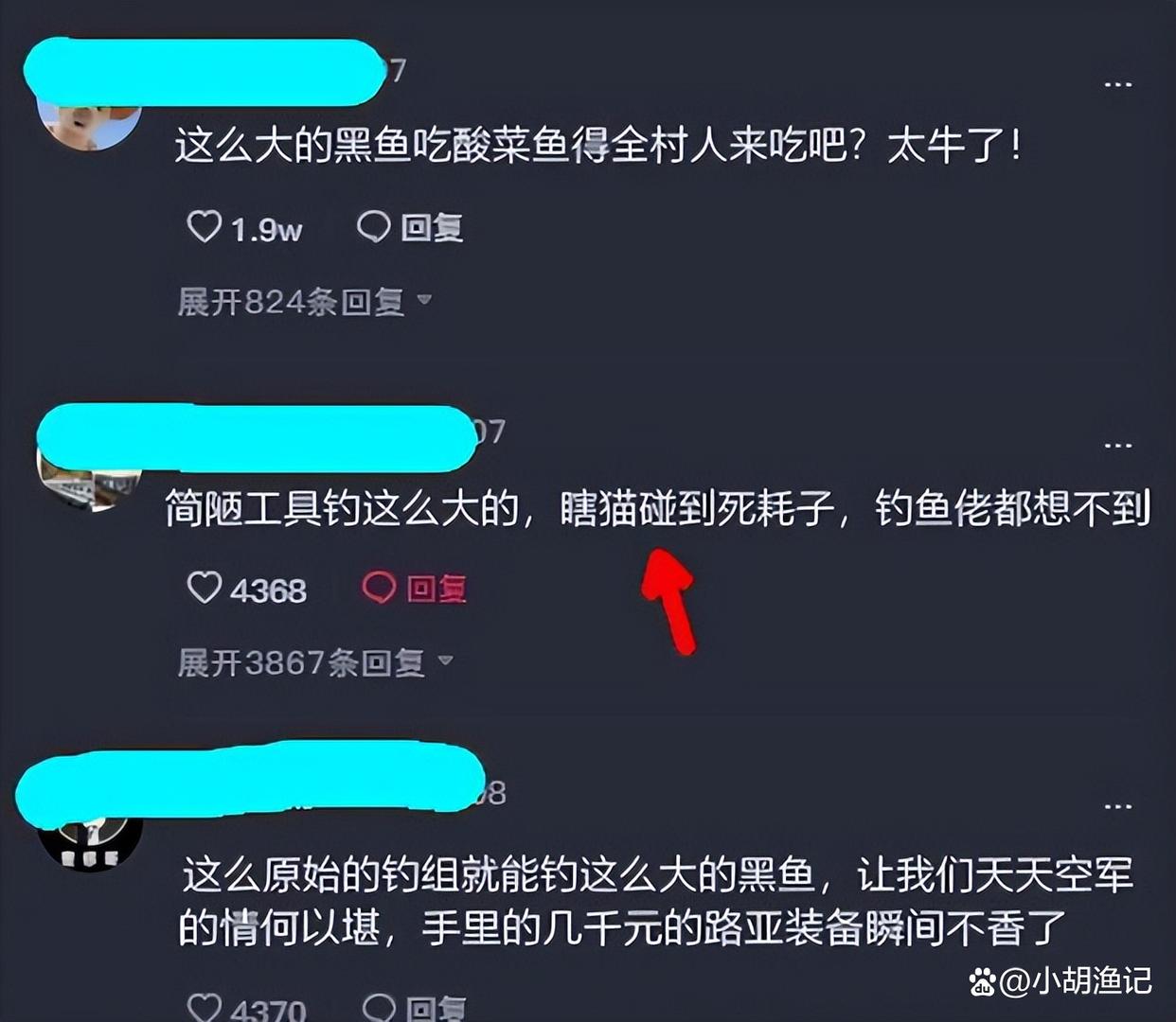 厉害了我的叔！温州大叔手竿加七星漂巧钓大黑鱼，全长约一米
