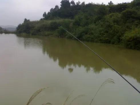钓鳊鱼、草鱼，翘嘴，红尾翘，钓浅浮还是钓深浮？以什么为依据