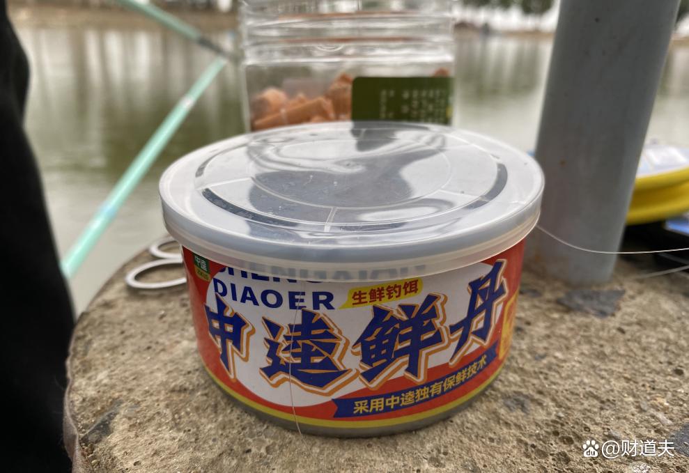 中逵鲜丹实战路滑，钓获鳊鱼、鲈鱼！